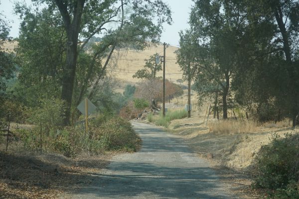 [Picture of String Bean Alley 1]